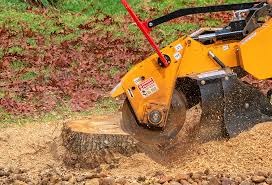 Best Lawn Drainage Solutions  in City View, SC
